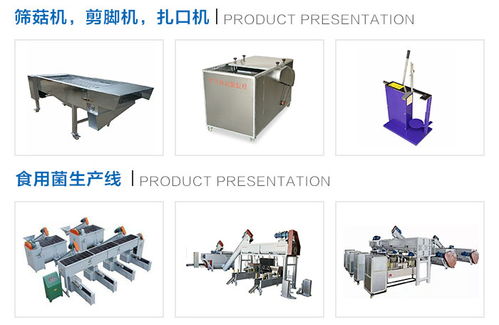 隨州鴻宇機(jī)械設(shè)備廠家小型羊肚菌烘干箱與果蔬烘干機(jī)市場價格解析
