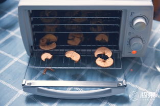 360°烘干，原汁原味即刻享用 金正家用食品水果烘干機(jī)全體驗(yàn)