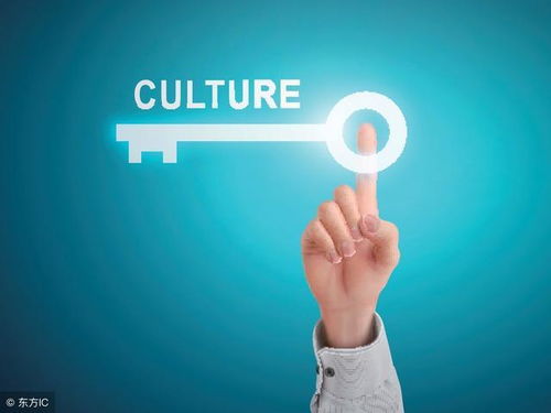 企業(yè)文化到底有用嗎？精明的老板這樣優(yōu)化企業(yè)管理